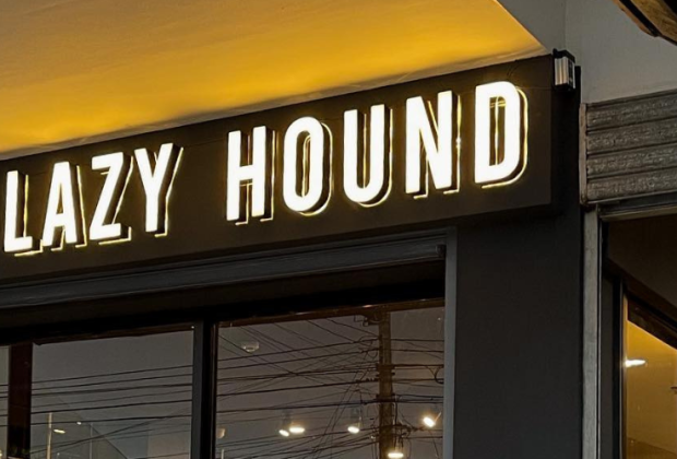 Lazy Hound